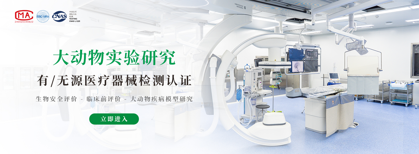 大动物实验检测